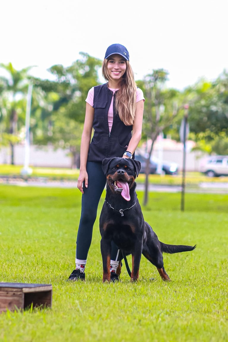 Axel de Knueve Hispania - Rottweiler