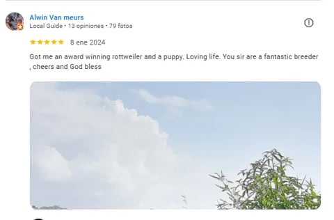 Google review by Alwin Van meurs 5-star rating