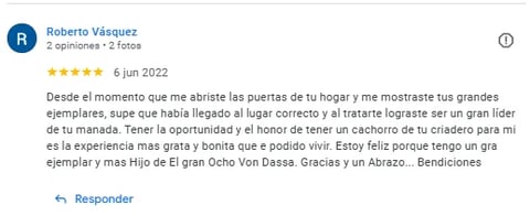 Google review from Roberto Vasquez 5-star rating June 2022