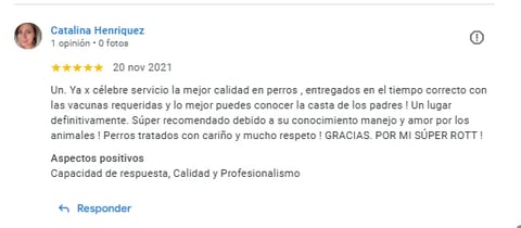 Five-star review from Catalina Henriquez praising dog quality