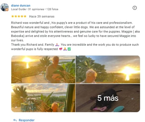 Review of dog breeder Richard with puppy photos at sunset