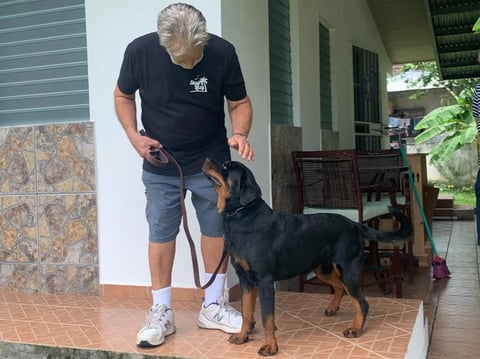 Older man in black shirt and shorts standing with a black and tan dog on a covered porch with tiled floor