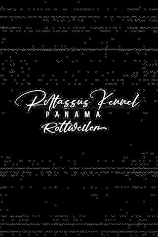 White stylized text reading Pattassus Kennel Panama Rottweiler on a black background with decorative pattern