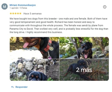 Five-star review with photos showing Rottweilers at different ages