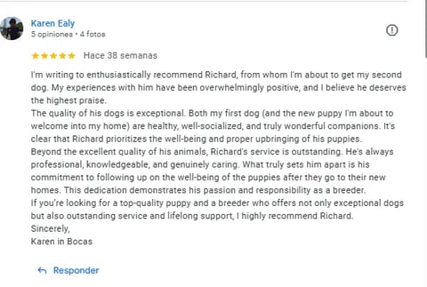 Five-star review from Karen Ealy recommending Richard as dog breeder