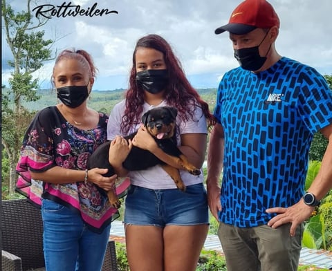Three people wearing face masks outdoors holding a small black and tan dog, with hills and trees visible in the background
